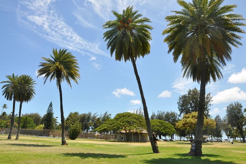 hawaii-climate-weather